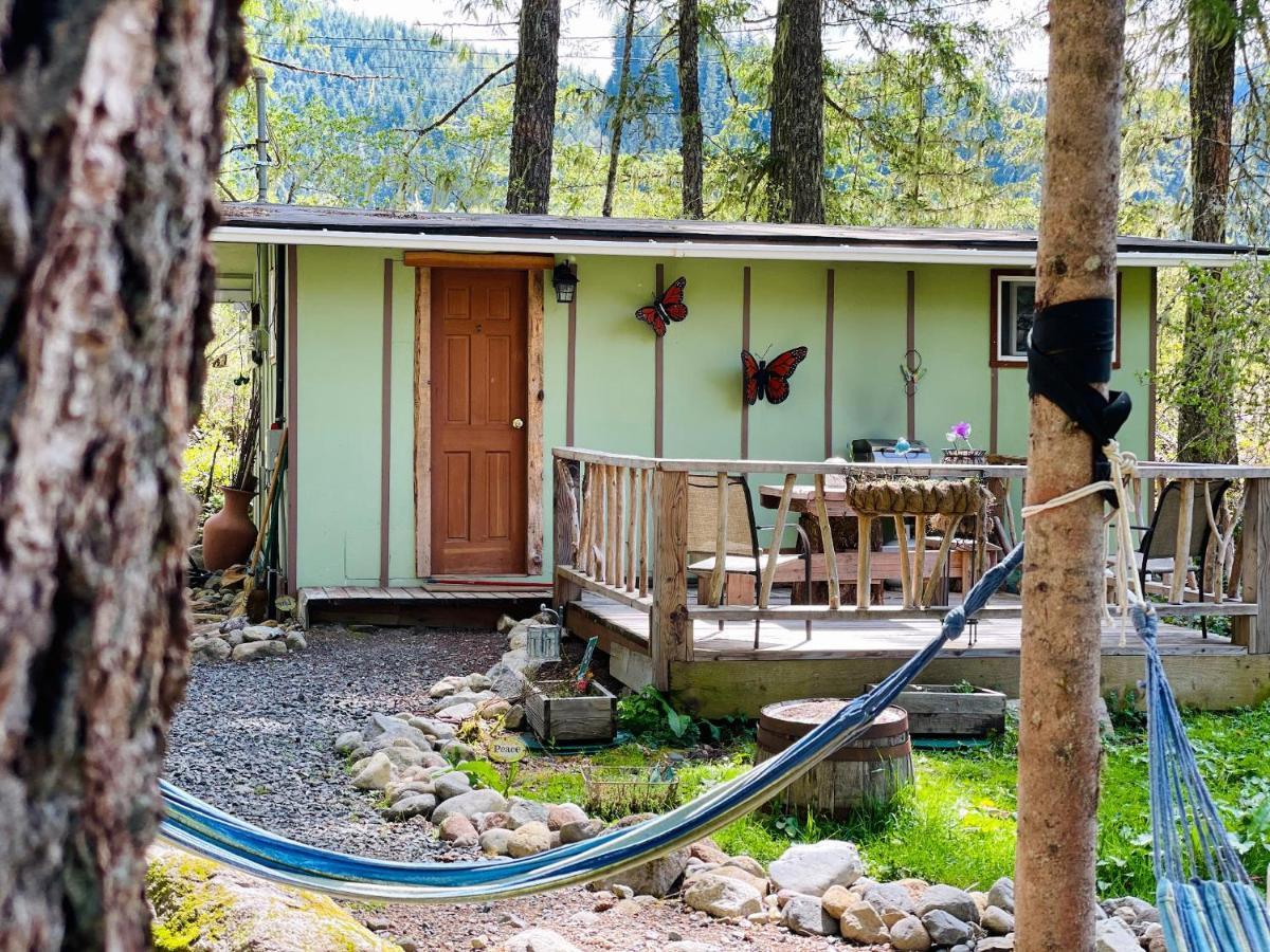 אשפורד Mt Rainier Little Green Cabin On Big Creek! מראה חיצוני תמונה