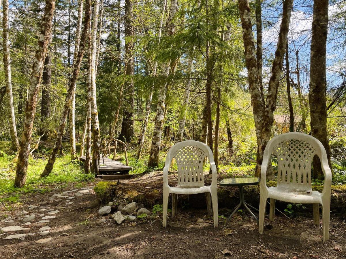 אשפורד Mt Rainier Little Green Cabin On Big Creek! מראה חיצוני תמונה