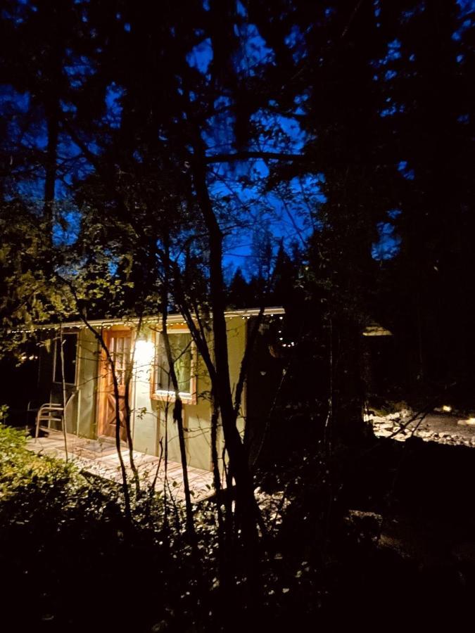 אשפורד Mt Rainier Little Green Cabin On Big Creek! מראה חיצוני תמונה