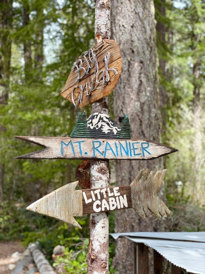 אשפורד Mt Rainier Little Green Cabin On Big Creek! מראה חיצוני תמונה