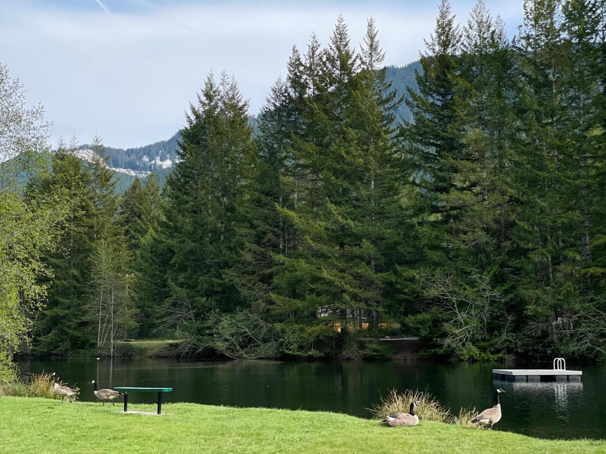 אשפורד Mt Rainier Little Green Cabin On Big Creek! מראה חיצוני תמונה