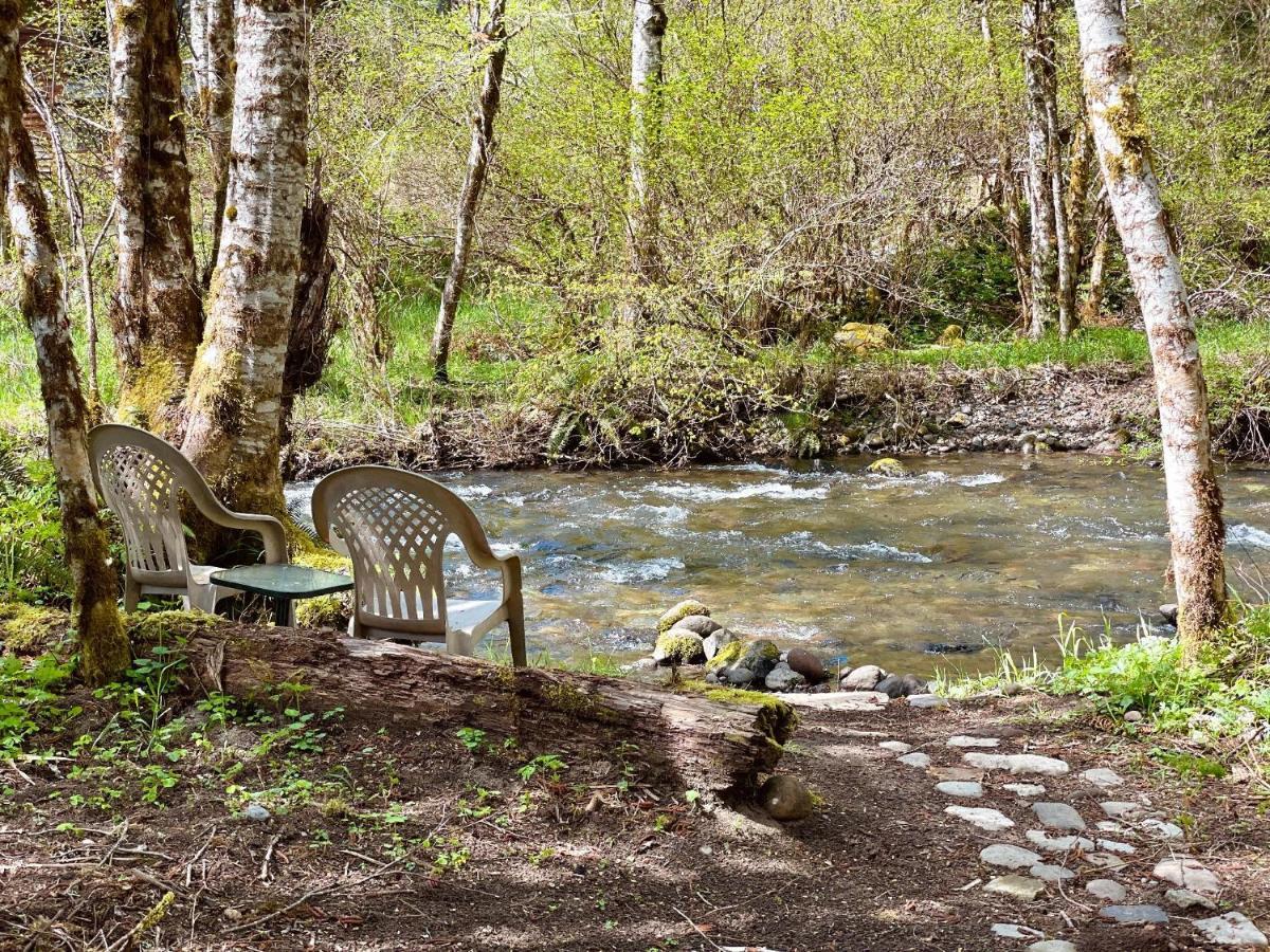 אשפורד Mt Rainier Little Green Cabin On Big Creek! מראה חיצוני תמונה