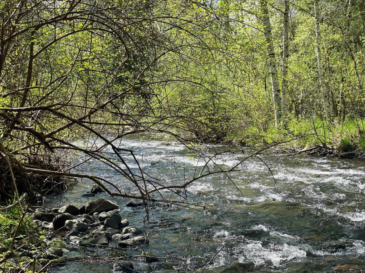 אשפורד Mt Rainier Little Green Cabin On Big Creek! מראה חיצוני תמונה
