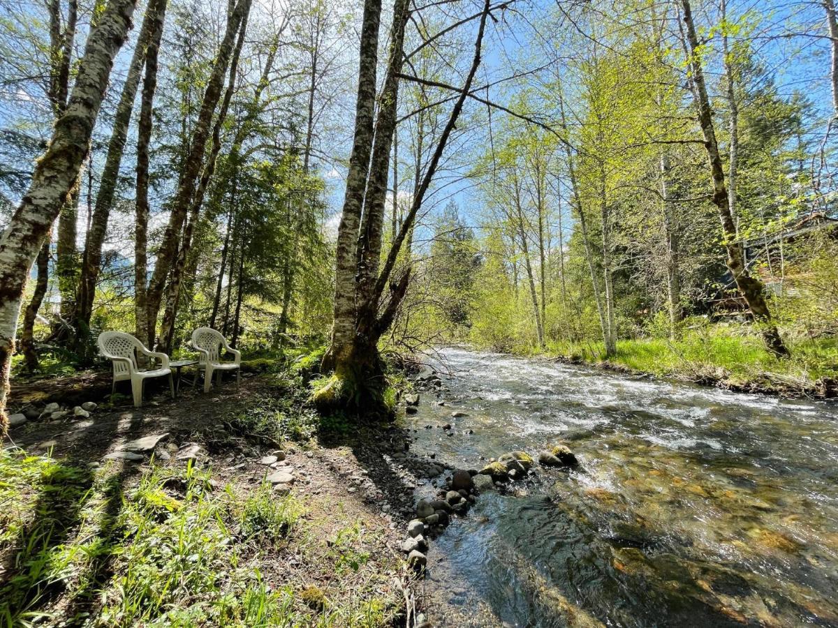 אשפורד Mt Rainier Little Green Cabin On Big Creek! מראה חיצוני תמונה