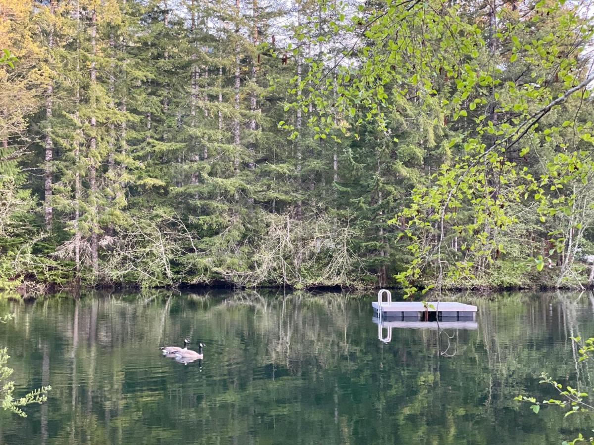 אשפורד Mt Rainier Little Green Cabin On Big Creek! מראה חיצוני תמונה