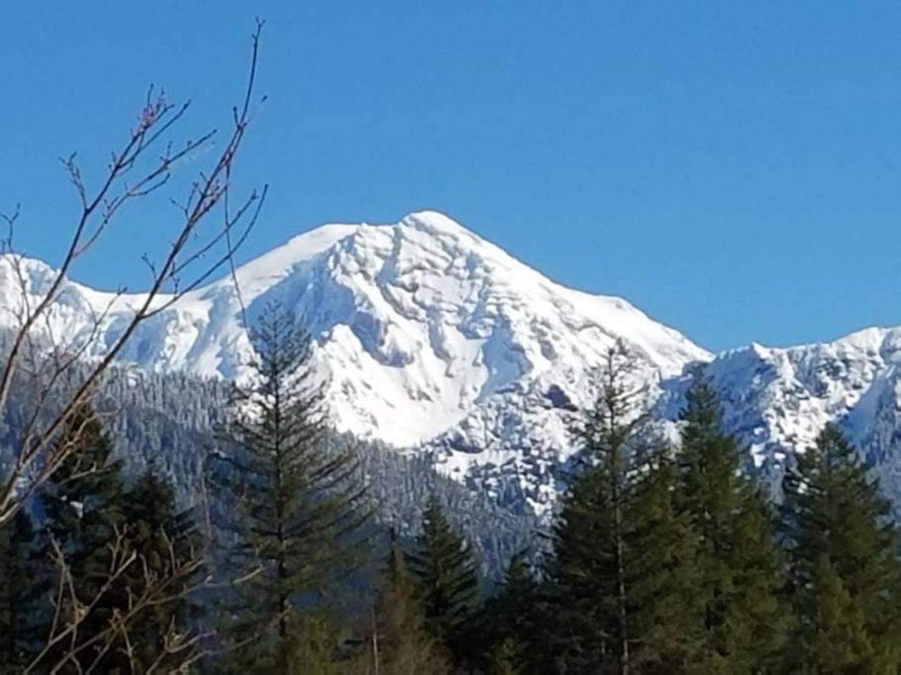 אשפורד Mt Rainier Little Green Cabin On Big Creek! מראה חיצוני תמונה